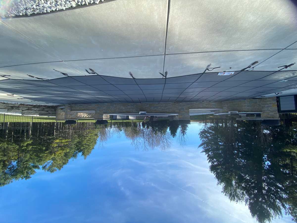 Free Form Safety Cover